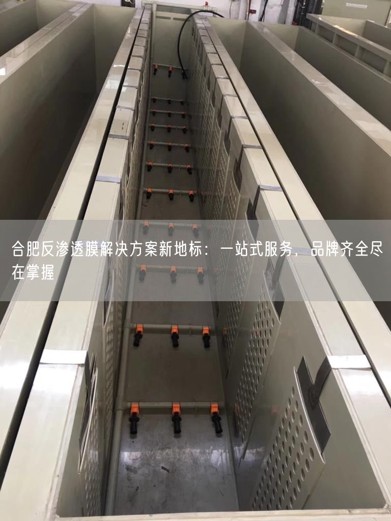 合肥反渗透膜解决方案新地标：一站式服务，品牌齐全尽在掌握(图1)