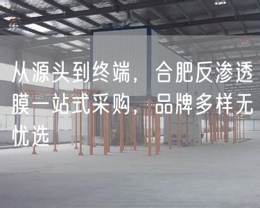 从源头到终端，合肥反渗透膜一站式采购，品牌多样无忧选(图1)