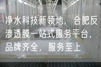 净水科技新领地，合肥反渗透膜一站式服务平台，品牌齐全，服务至上(图1)